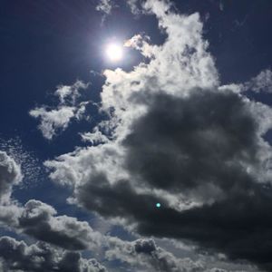 Meet your Posher, Donald